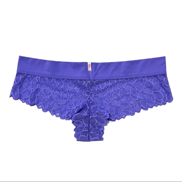 VS PINK 2016 Vintage Extra Low Rise Cheekster Semi-sheer Mesh Floral Print Panty - Picture 8 of 16